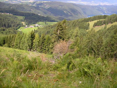 Bild 174 aus  Bacherhof