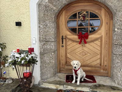 Bild 44 aus  Buchnerhof