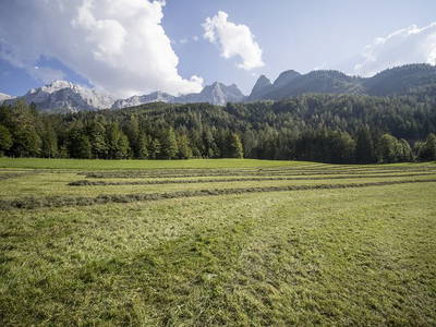 Bild 44 aus  Ascherbauer