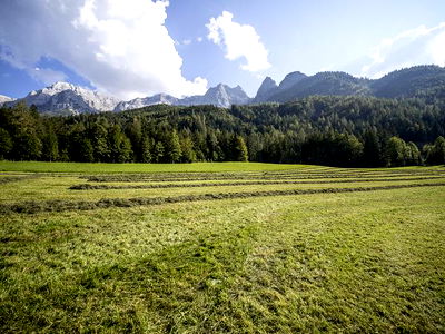 Bild 11 aus Ascherbauer