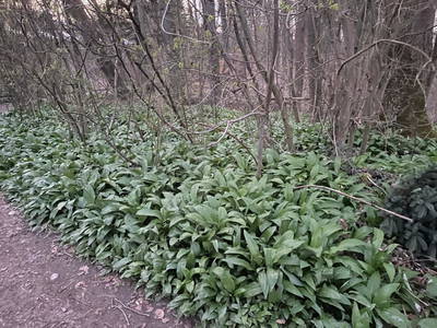 Bild 84 aus  Demobetrieb Bauernhof