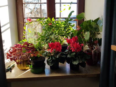 Bild 23 aus  Rettenbachgut