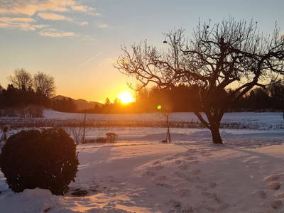 Bild 77 aus  Obergrafenberger