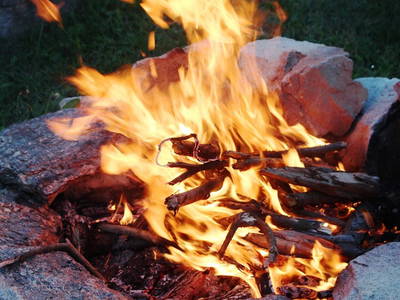 Bild 100 aus  Postl's Hirschbirnhof