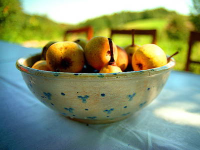 Bild 11 aus  Pokrzywnik 11