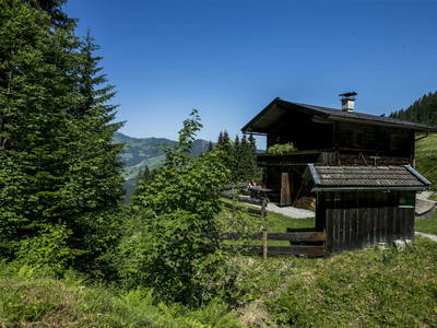 Bild 39 aus  Almhütte Kohlenau