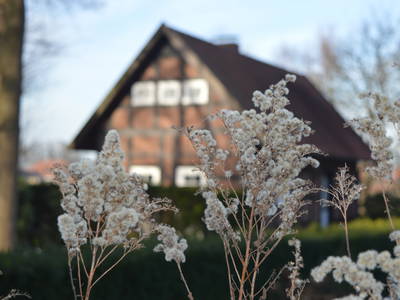 Bild 9 aus  Mühlenhof
