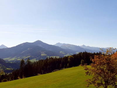 Bild 35 aus  Pürcherhof