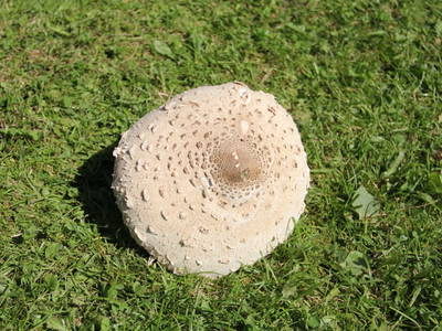 Bild 47 aus  Panorama Hof Fa. Sereinig