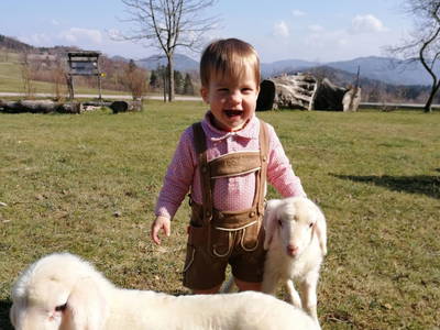 Bild 13 aus  Höbarten