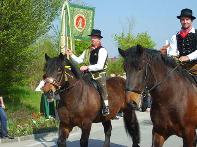 Bild 38 aus  Hof zu Steinern