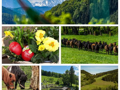 Bild 27 aus  Einkehrhof Poggau