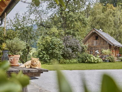 Bild 11 aus  Stückler - Hütte