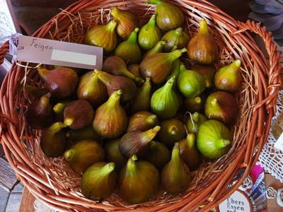 Bild 35 aus  Ferienhaus Weinmeyer 