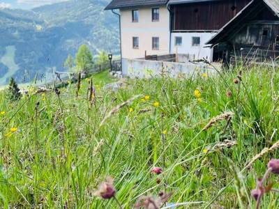 Bild 70 aus  Krametergut