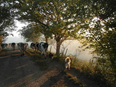 Bild 3 aus  Thelenshof