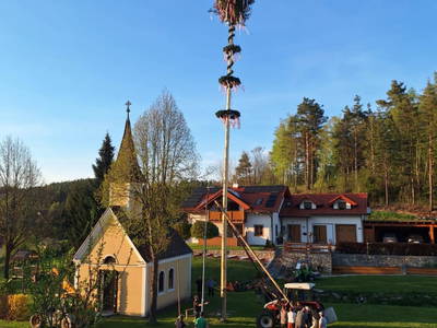 Bild 11 aus Biohof Meyerhofer