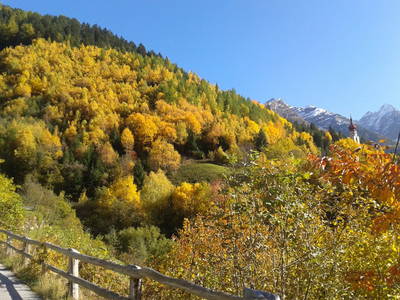 Bild 59 aus  Alblerhof