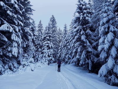 Bild 8 aus  Stillerhof