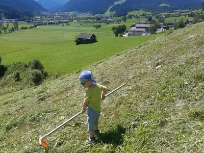 Bild 7 aus  Burnstein