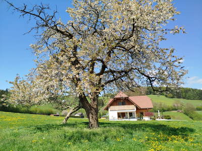 Bild 134 aus Promschhof