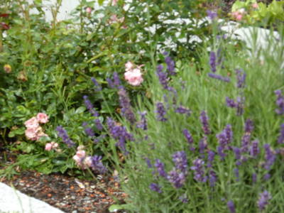 Bild 20 aus  Berghof Vöglerbrand