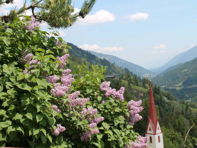 Bild 35 aus  Untererschbaum