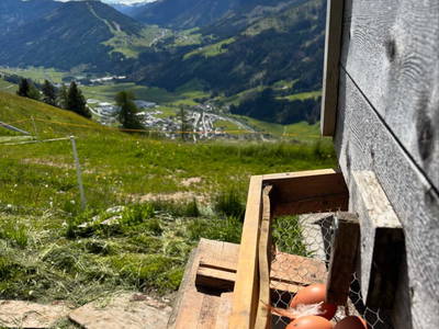 Bild 119 aus  Schuistlhof