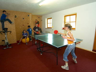 Bild 28 aus  Pfandlinghof