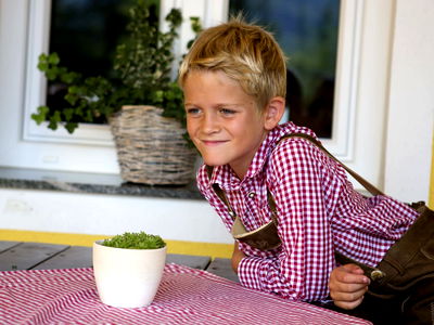 Bild 175 aus Arlitscherhof