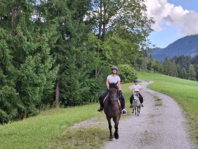 Bild 66 aus  Pferdehof Oberegg