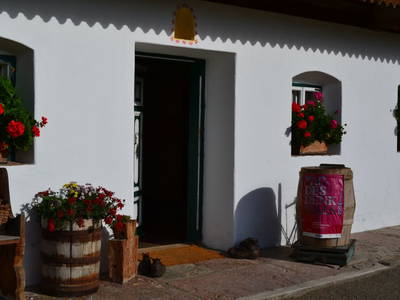 Bild 113 aus  Kaspergut