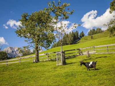 Bild 49 aus  Ederbauer