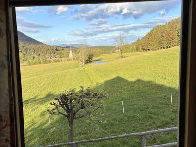 Bild 13 aus  Nagerhof