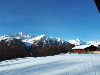 Bild 36 aus  Hirschenbauerhütte