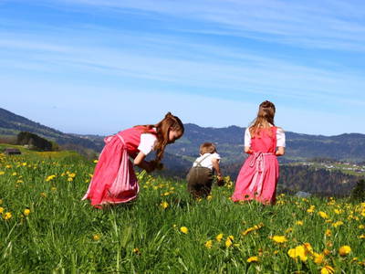 Bild 99 aus  Familie Nußbaumer 