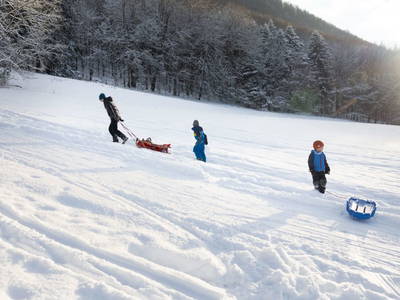 Bild 20 aus  Hofstatt Salzburg Ferienhaus 