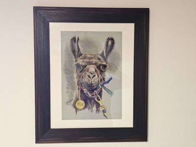 Bild 72 aus  Pfleger Ranch am Schönegg Gut