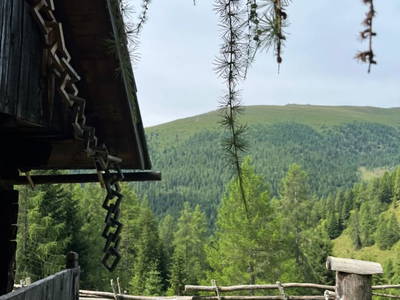 Bild 19 aus  Dreicharhütte