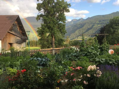 Bild 5 aus  Schmiedlehnerhof