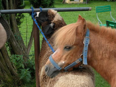 Bild 2 aus  Marx Bauernhaus