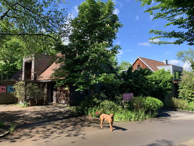 Bild 5 aus  Künstlerzimmer