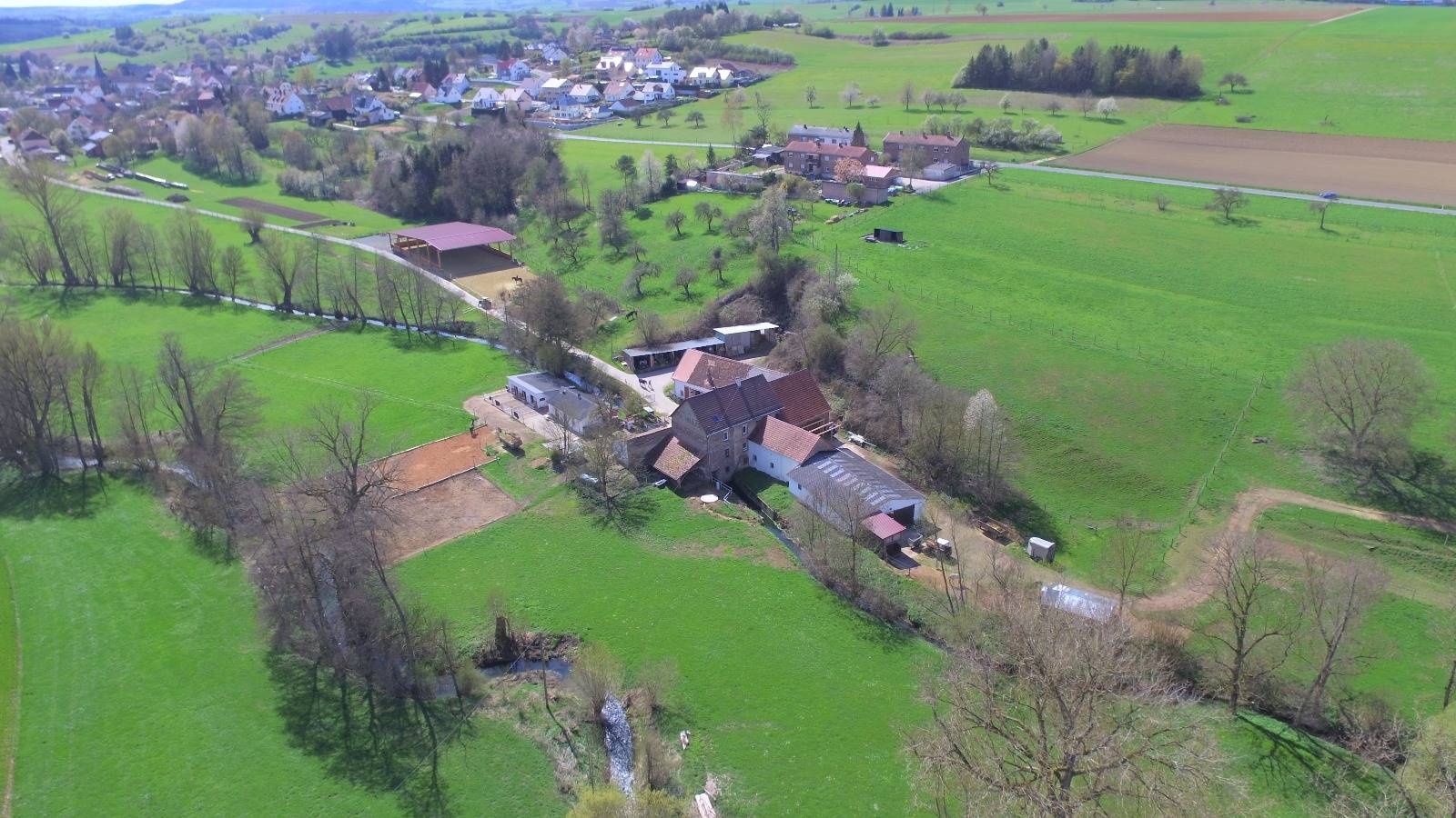 Ferienwohnung Pferdezucht Bickenalb