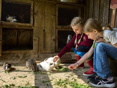 Bild 12 aus  Kinderparadies Höcker - Bio-Bauernhof
