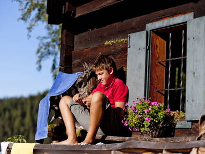 Bild 6 aus  Größingalm