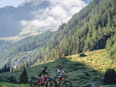 Bild 98 aus  Enzianhütte im Habachtal