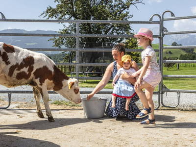 Bild 161 aus  Hoferbichlgut