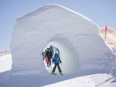 Bild 70 aus  Hartlhof Urlaub am Baby- und Kinderbauernhof