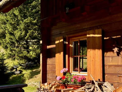 Bild 4 aus  Königsreiner  Hütte