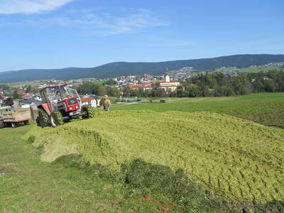 Bild 5 aus  Fuchsnhof